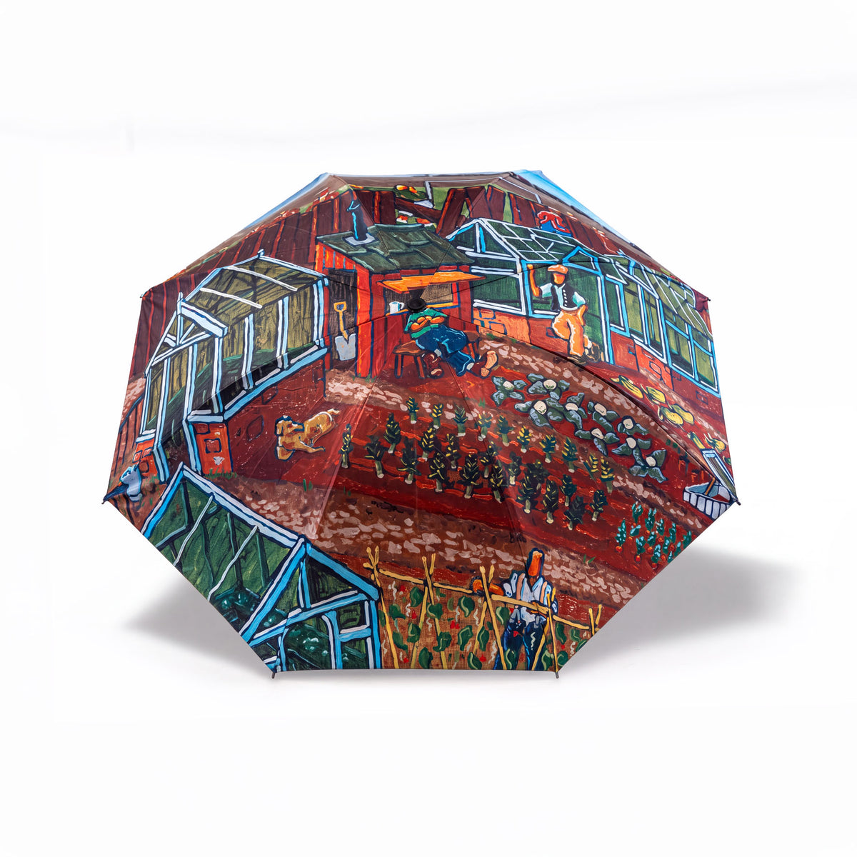 Joe Scarborough Umbrella The Allotment - Joe Scarborough Art