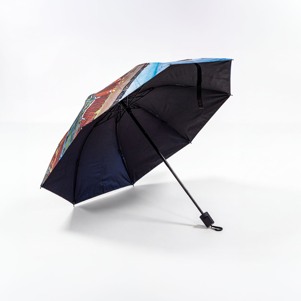 Joe Scarborough Umbrella The Allotment - Joe Scarborough Art