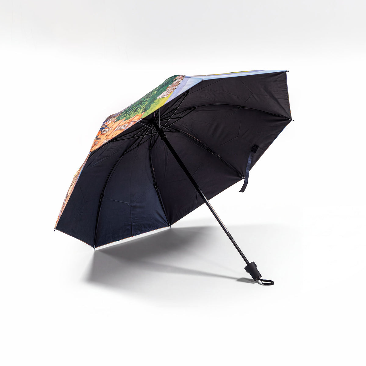 Joe Scarborough Umbrella Wentworth Woodhouse - Joe Scarborough Art